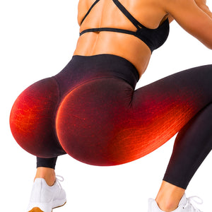 PantaFit